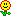 A flower